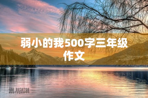 弱小的我500字三年级作文