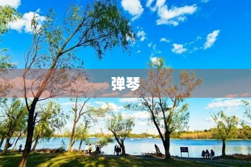 弹琴 弹琴