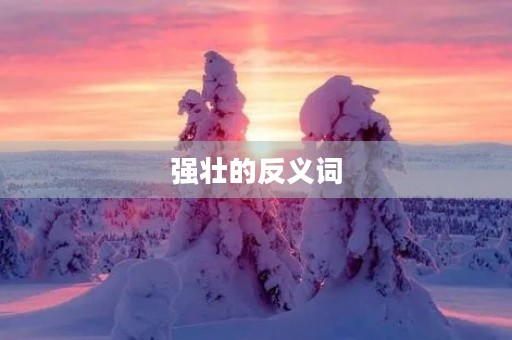 强壮的反义词(强壮的反义词) 强壮的反义词(强壮的反义词)