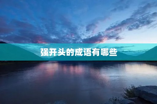 强开头的成语有哪些