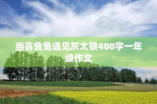 当喜兔兔遇见灰太狼400字一年级作文