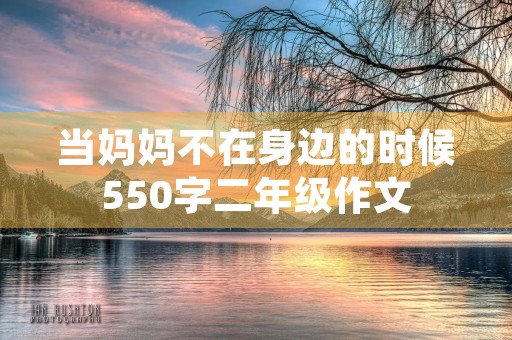 当妈妈不在身边的时候550字二年级作文