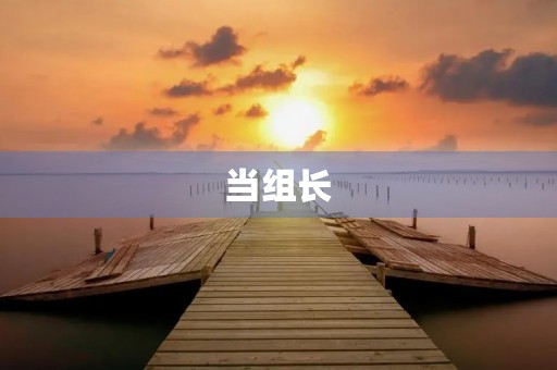 当组长 当组长