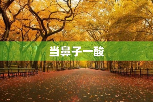 当鼻子一酸,我终于明白了什么是思乡之情 当鼻子一酸,我终于明白了什么是思乡之情