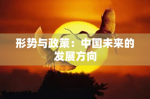 形势与政策:中国未来的发展方向 形势与政策:中国未来的发展方向