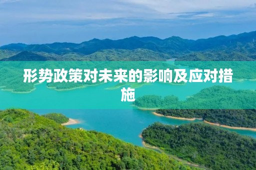 形势政策对未来的影响及应对措施