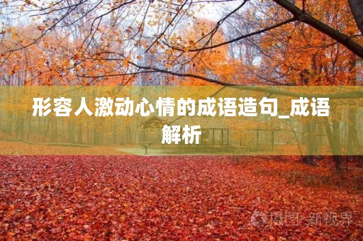 形容人激动心情的成语造句_成语解析