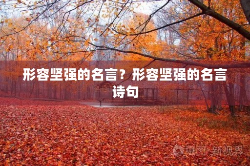 形容坚强的名言？形容坚强的名言诗句