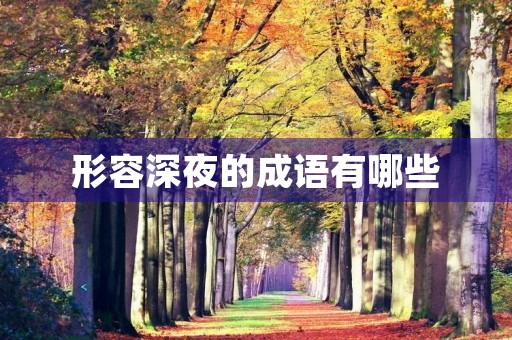 形容深夜的成语有哪些 形容深夜的成语有哪些