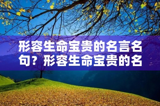 形容生命宝贵的名言名句？形容生命宝贵的名言名句大全