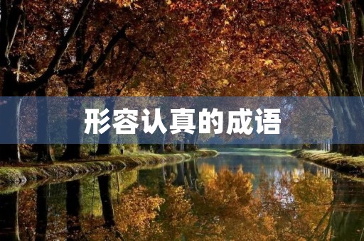 形容认真的成语