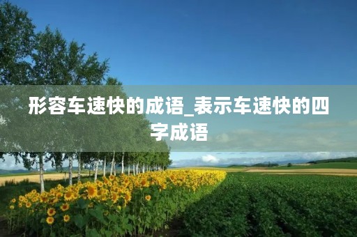 形容车速快的成语_表示车速快的四字成语 形容车速快的成语_表示车速快的四字成语