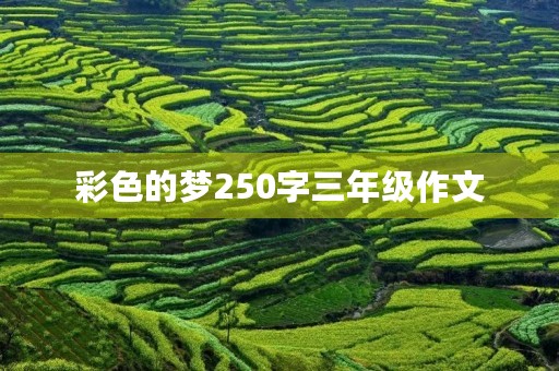 彩色的梦250字三年级作文 彩色的梦250字三年级作文