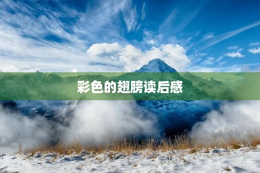 彩色的翅膀读后感