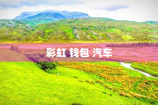 彩虹 钱包 汽车 彩虹 钱包 汽车