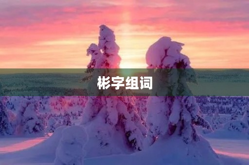 彬字组词(彬组词)
