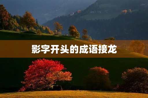 影字开头的成语接龙