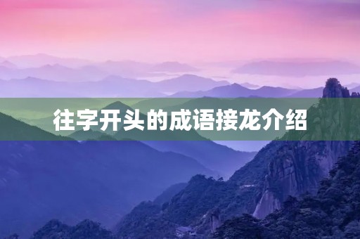 往字开头的成语接龙介绍