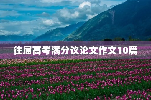往届高考满分议论文作文10篇 往届高考满分议论文作文10篇