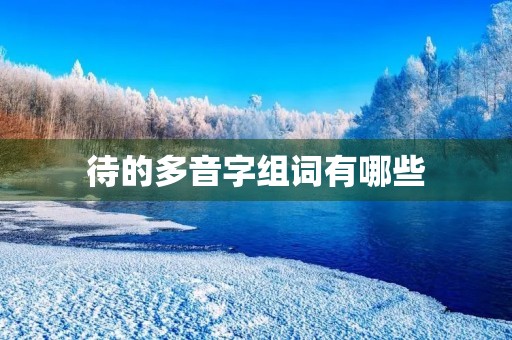 待的多音字组词有哪些(待的组词)