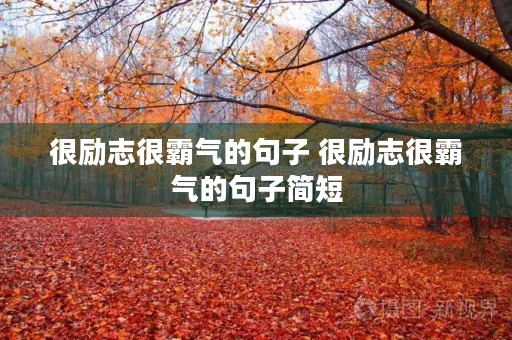 很励志很霸气的句子 很励志很霸气的句子简短 很励志很霸气的句子 很励志很霸气的句子简短