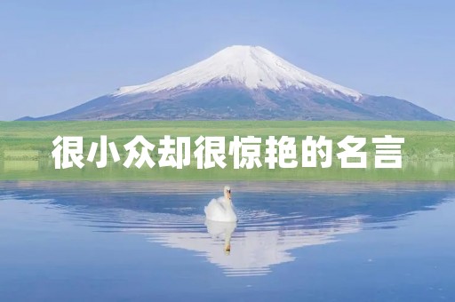 很小众却很惊艳的名言，很小众却很惊艳的名言英语