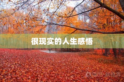 很现实的人生感悟(很现实的人生感悟句子) 很现实的人生感悟(很现实的人生感悟句子)