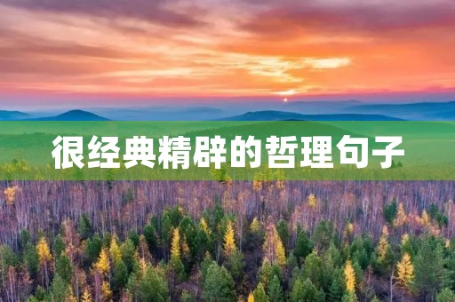 很经典精辟的哲理句子，很经典精辟的哲理句子有哪些