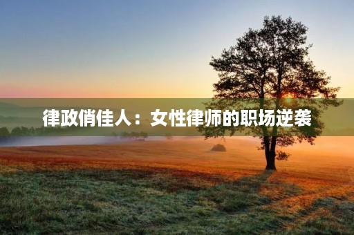律政俏佳人:女性律师的职场逆袭 律政俏佳人:女性律师的职场逆袭