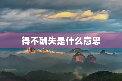 得不酬失是什么意思