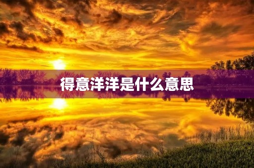 得意洋洋是什么意思