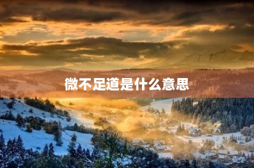 微不足道是什么意思