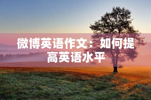 微博英语作文：如何提高英语水平