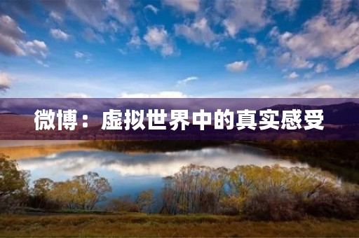 微博:虚拟世界中的真实感受 微博:虚拟世界中的真实感受