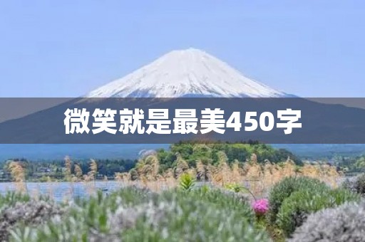 微笑就是最美450字