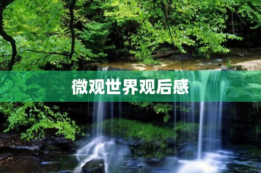 微观世界观后感 微观世界观后感