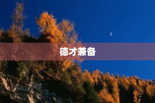 德才兼备,成就无限 德才兼备,成就无限
