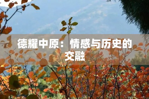 德耀中原：情感与历史的交融