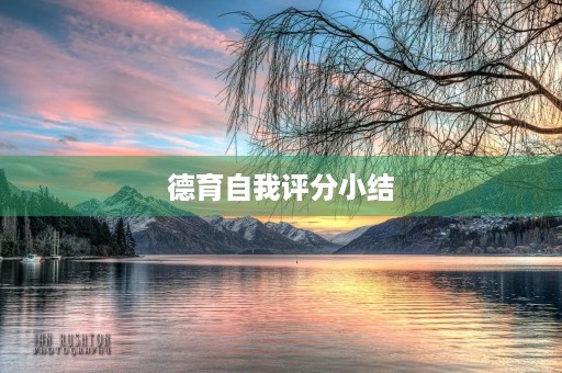 德育自我评分小结