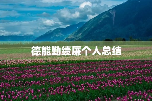 德能勤绩廉个人总结 德能勤绩廉个人总结