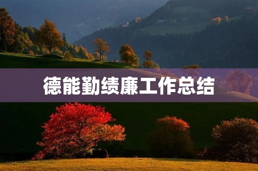 德能勤绩廉工作总结