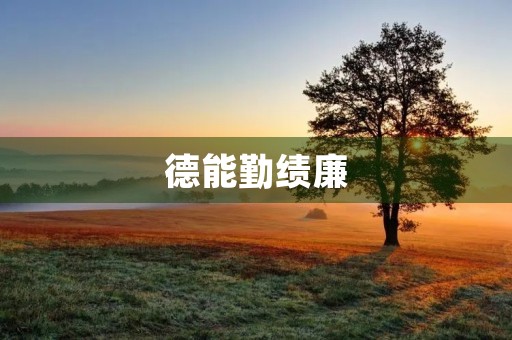 德能勤绩廉，做一个合格的公民