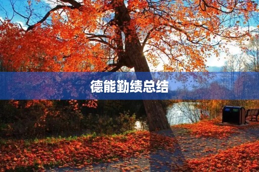 德能勤绩总结 德能勤绩总结