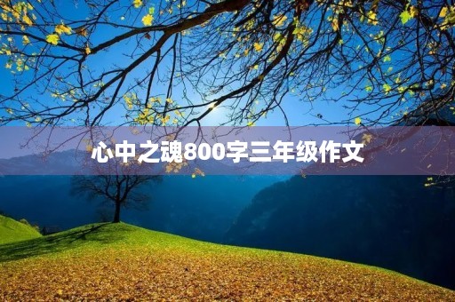 心中之魂800字三年级作文 心中之魂800字三年级作文