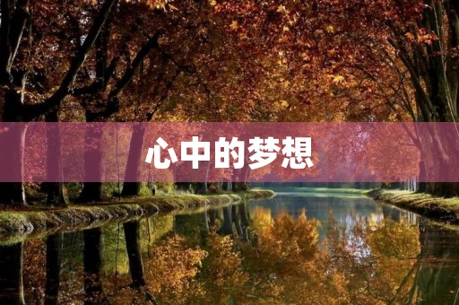 心中的梦想