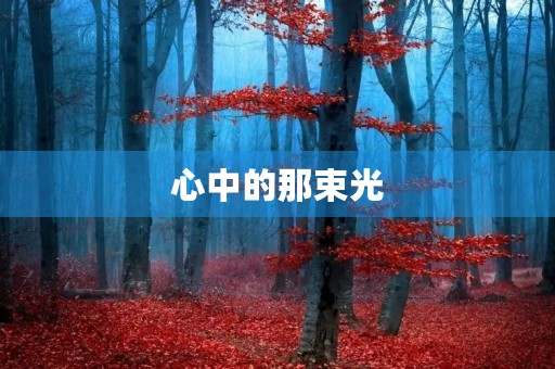 心中的那束光 心中的那束光