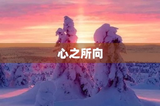 心之所向，爱之所在——心儿怦怦跳作文