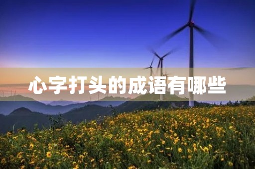 心字打头的成语有哪些