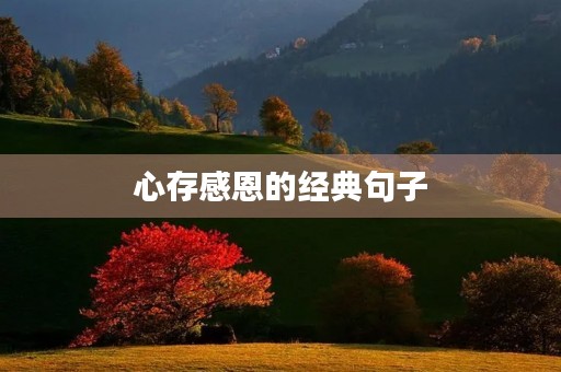 心存感恩的经典句子(最打动人心的感恩短句) 心存感恩的经典句子(最打动人心的感恩短句)