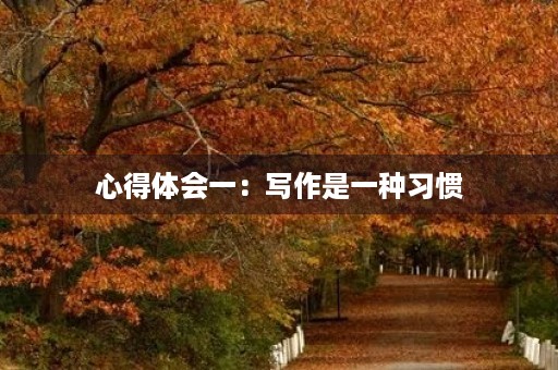 心得体会一:写作是一种习惯